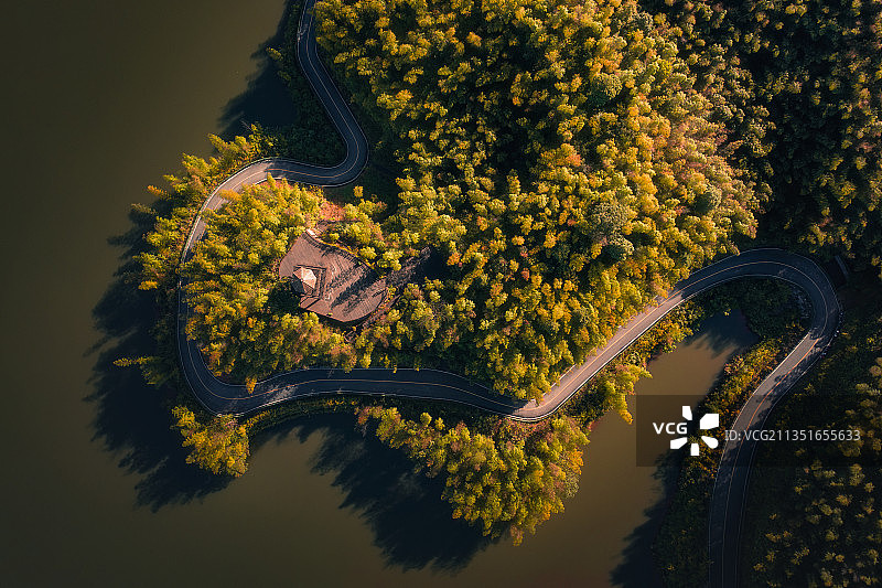 竹海 湖泊 航拍图片素材