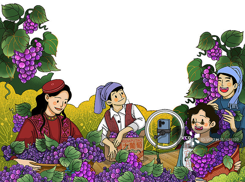 精准扶贫新疆大葡萄直播助农电商快递奔小康葡萄园少数民族图片素材
