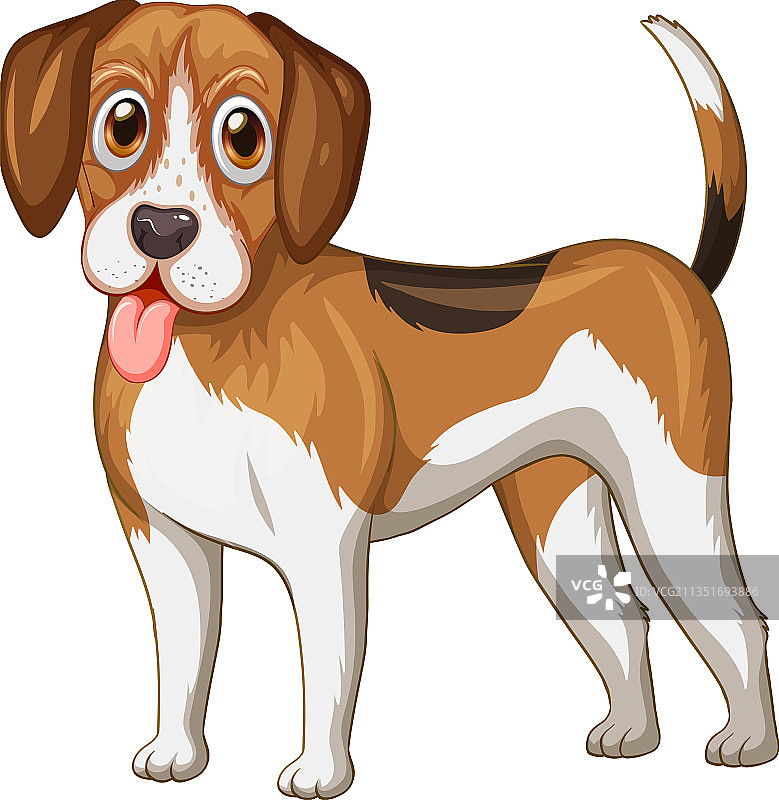 白色背景上的比格犬卡通形象图片素材