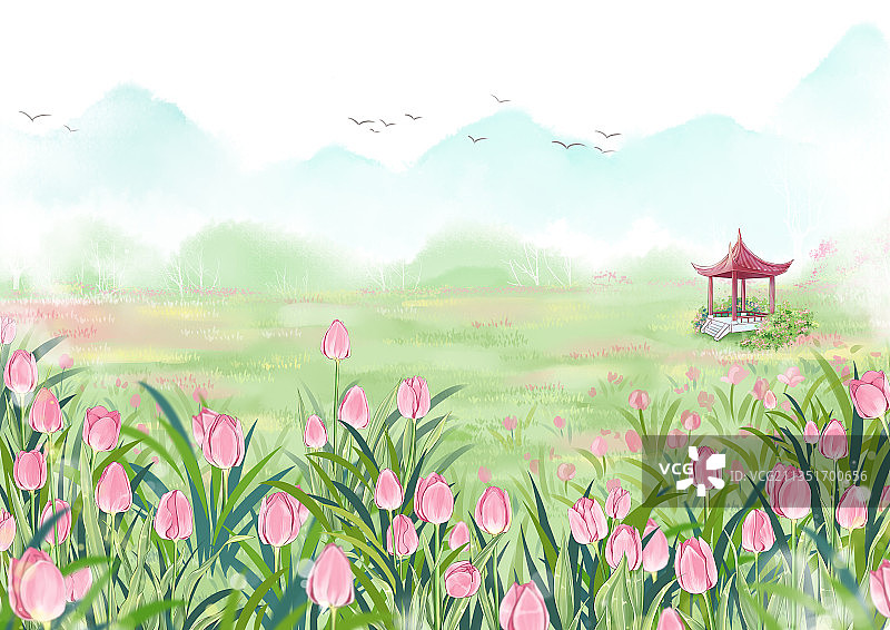 插画春天户外植物园盛开的郁金香图片素材