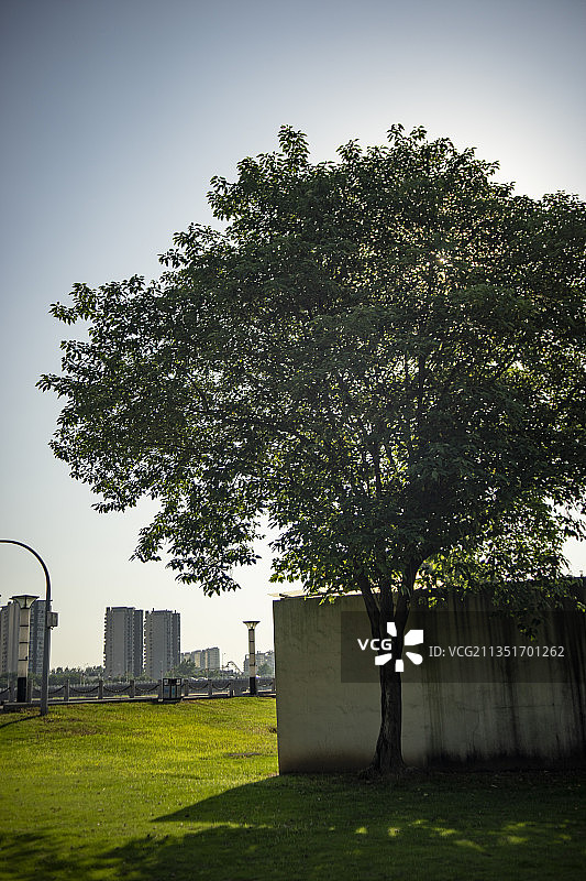 金华建筑艺术公园图片素材