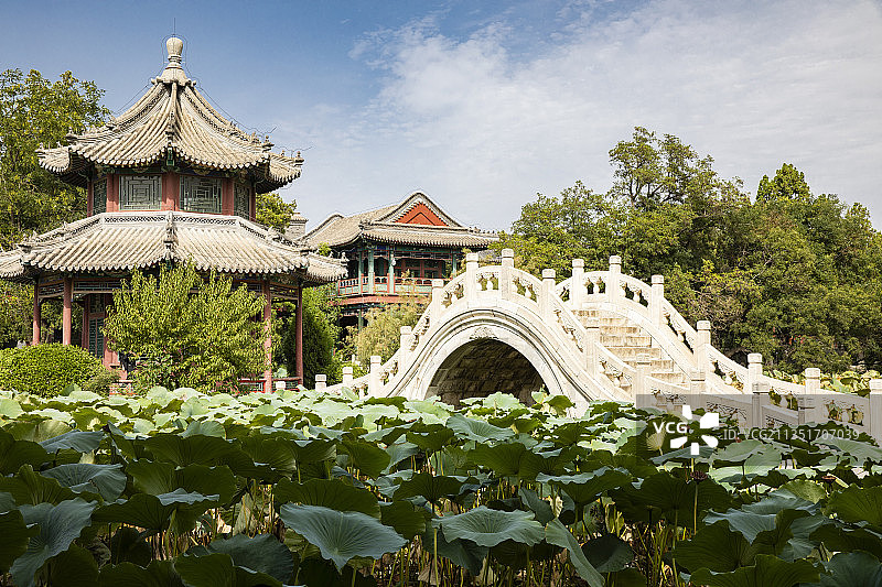 河北省保定市古莲花池图片素材