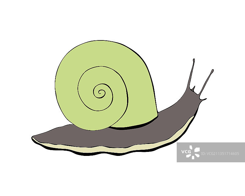 黑色蜗牛轮廓手绘图片素材