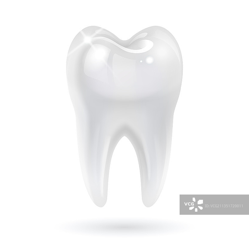 白色背景上的牙齿图片素材