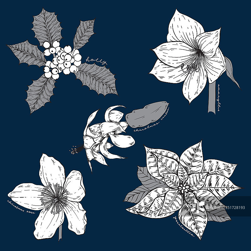 可爱的花卉摆件图片素材