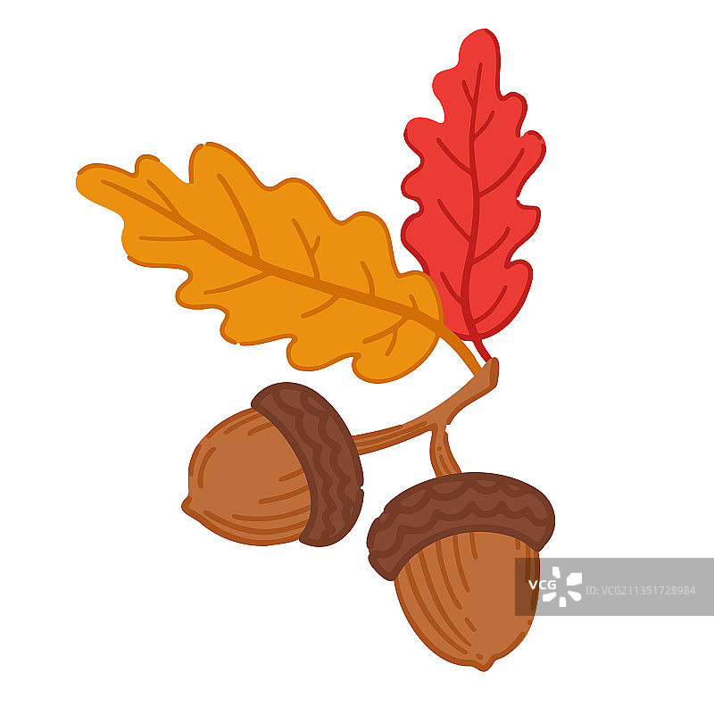 森林橡果与秋叶图片素材