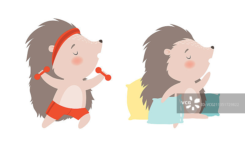 坐在枕头上打哈欠的有趣灰色刺猬图片素材