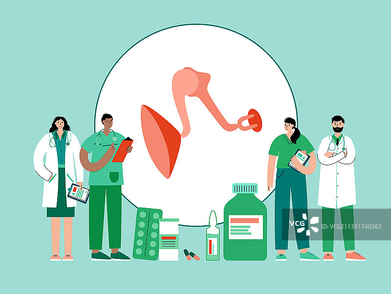 内耳解剖图片素材