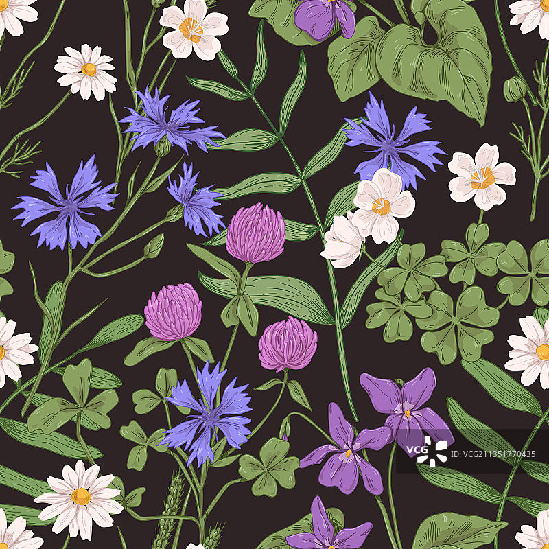 野生草药植物无缝图案图片素材