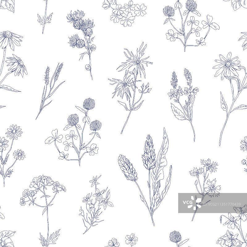 草本植物复古无缝图案图片素材