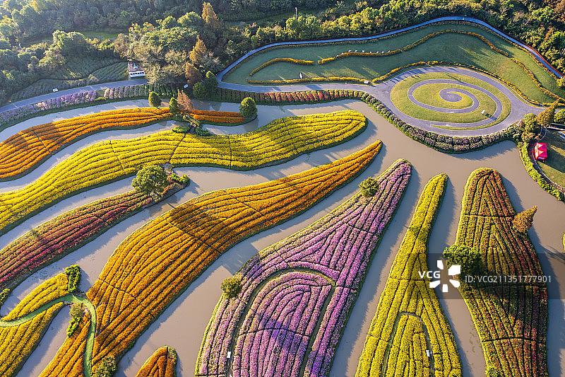 航拍朱泾花开海上生态公园图片素材