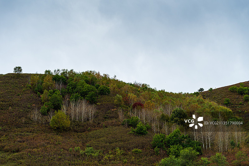 国家一号风景大道图片素材