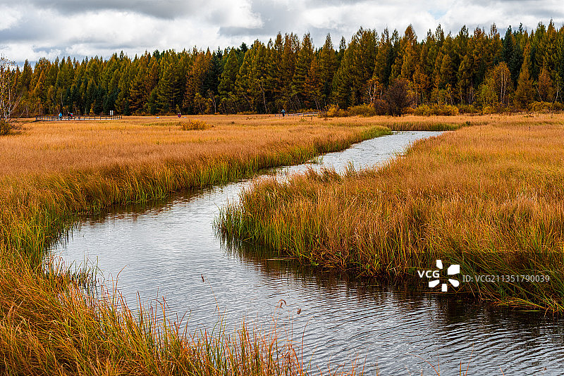 秋到塞罕坝(七星湖）图片素材