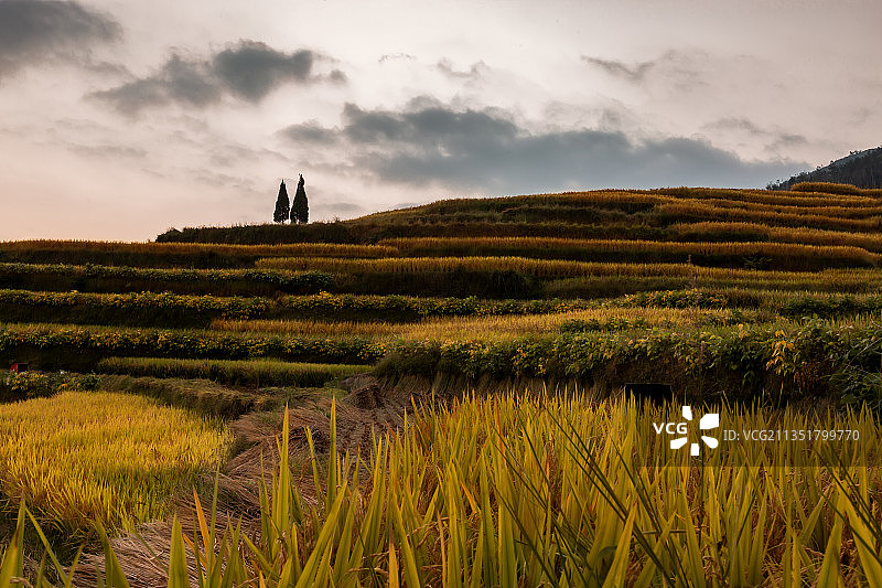 瑞安云端梯田景区图片素材