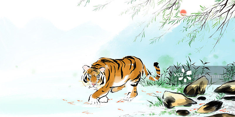 野生动物自然界的老虎虎年小暑节气图片素材