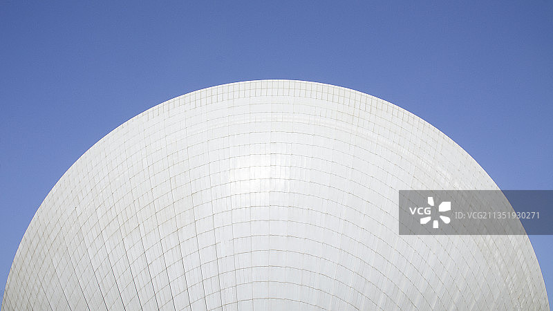 半圆形的珠海日月贝图片素材