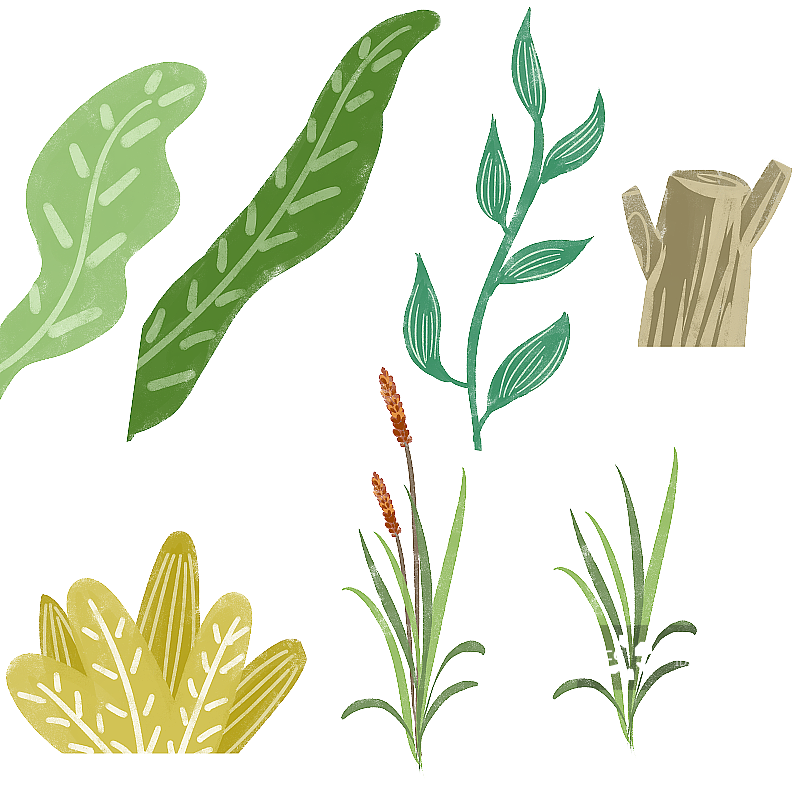 绿色的植物插画元素图片素材