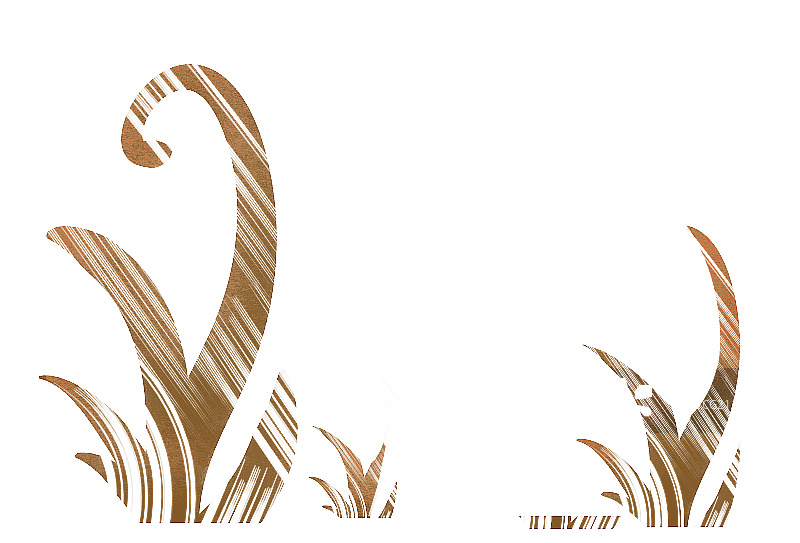 可爱的草插画元素图片素材