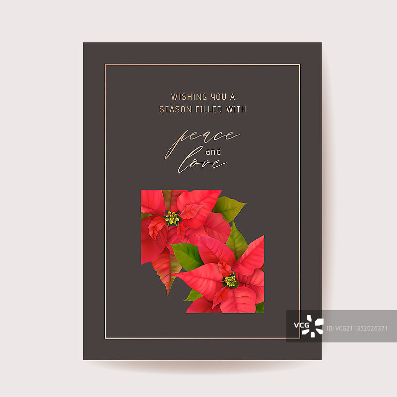 逼真的一品红3D花朵冬季贺卡图片素材