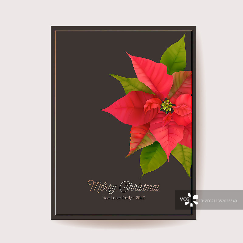 圣诞冬季花卉卡片图片素材