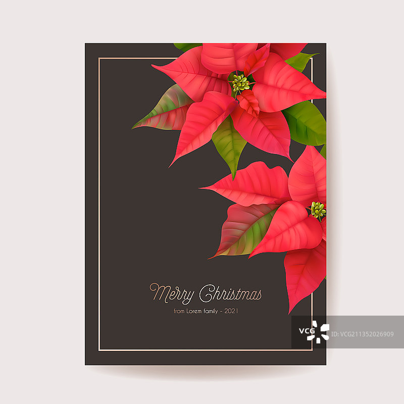 圣诞冬季花卉卡片图片素材