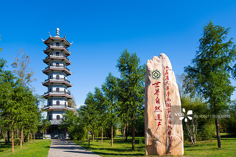 江苏大丰麋鹿国家级自然保护区图片素材