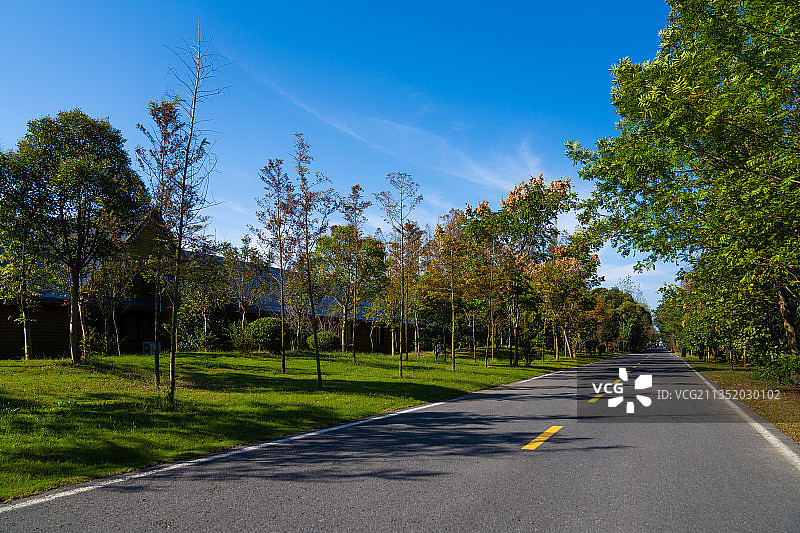 江苏大丰麋鹿国家级自然保护区图片素材