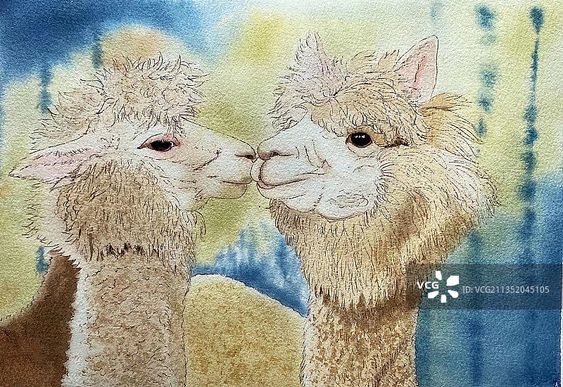 动物情侣图片素材