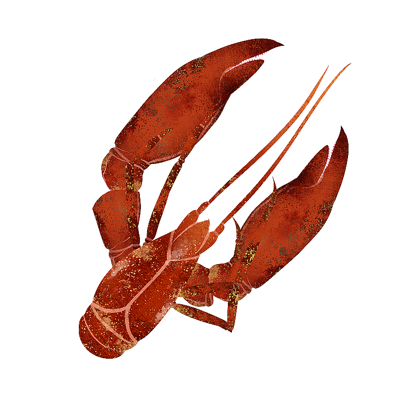 红色小龙虾插画元素图片素材