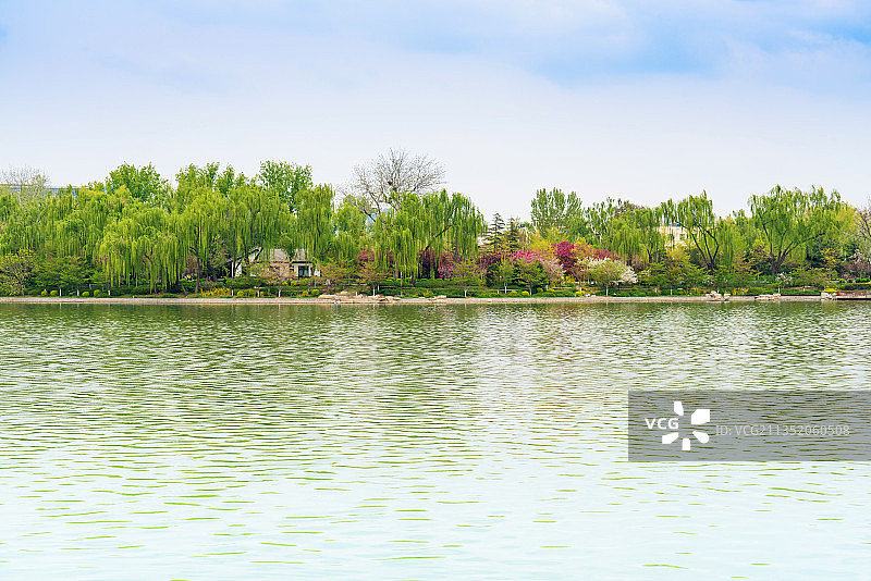 中国北京玉渊潭公园的春天图片素材