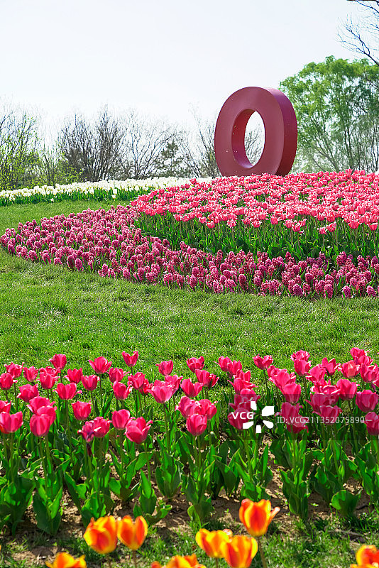 中国北京顺义国际鲜花港图片素材