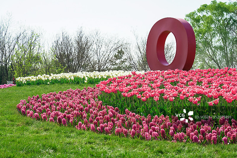 中国北京顺义国际鲜花港图片素材