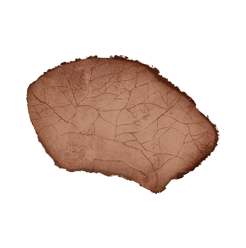 牛肉牛片插画元素图片素材