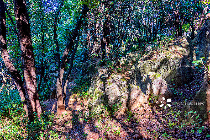 中国云南昆明西山风景区小石林游览区图片素材