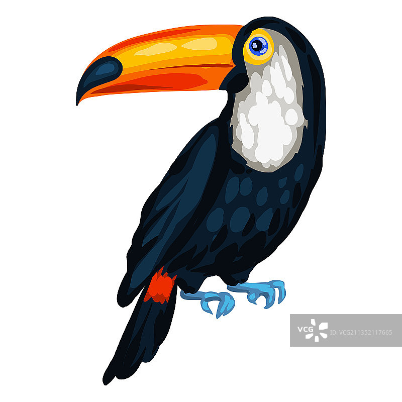 风格化的巨嘴鸟图像设计图片素材