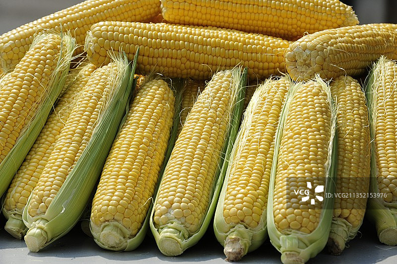 克罗地亚萨格勒布市场上出售的玉米特写图片素材