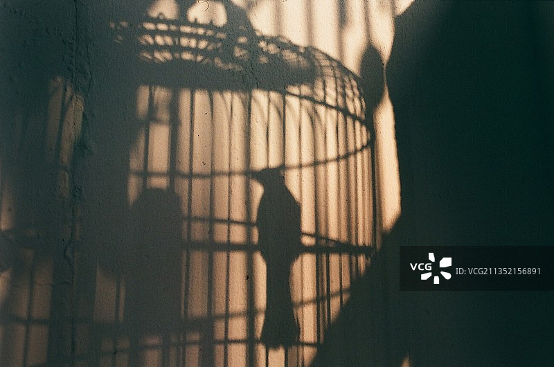 笼中鸟的轮廓图片素材