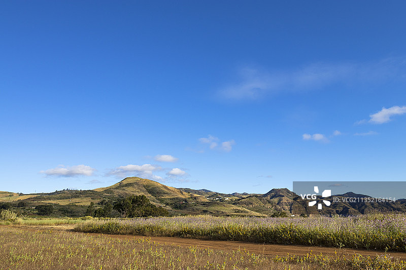 西班牙拉斯帕尔马斯大加那利岛的田野风光图片素材