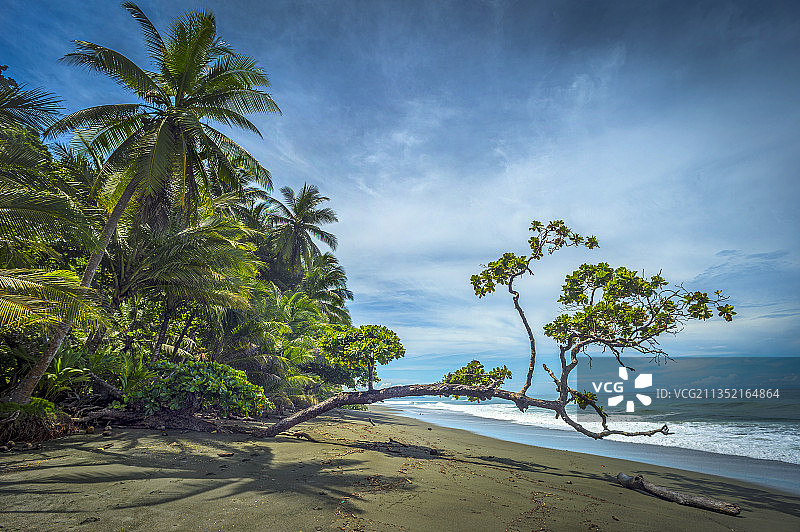 哥斯达黎加蓬塔雷纳斯省科科瓦多海滩美景图片素材