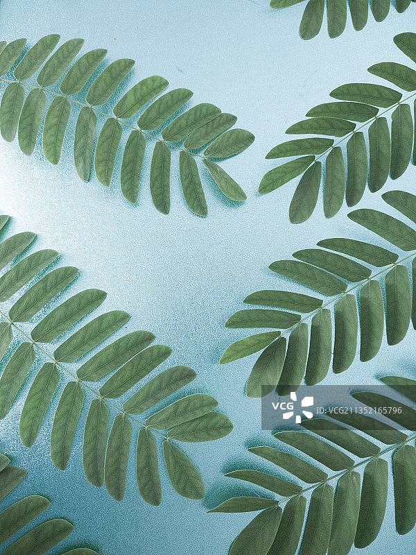 桌子上的树叶高角度景观图片素材