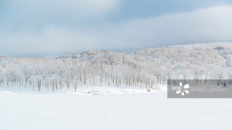 日本新雪谷的雪景风光图片素材