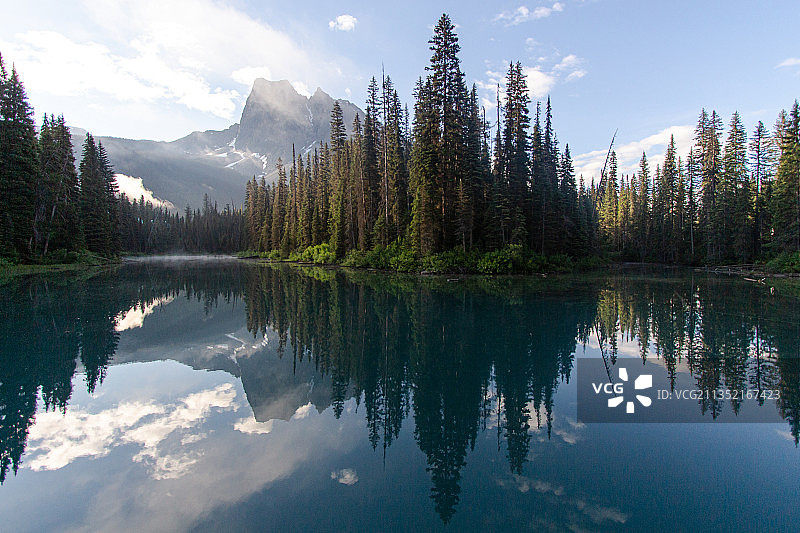 树阴下的湖面景色图片素材