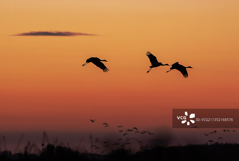 加利福尼亚州洛迪市的日落风筝图片素材
