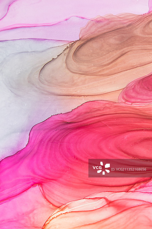 粉色背景全画幅照片图片素材