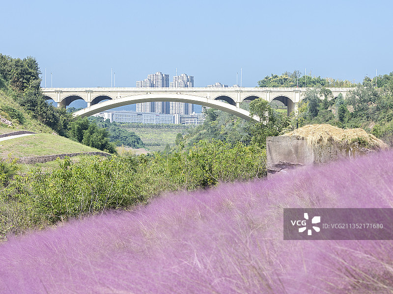 两江新区龙门大桥图片素材