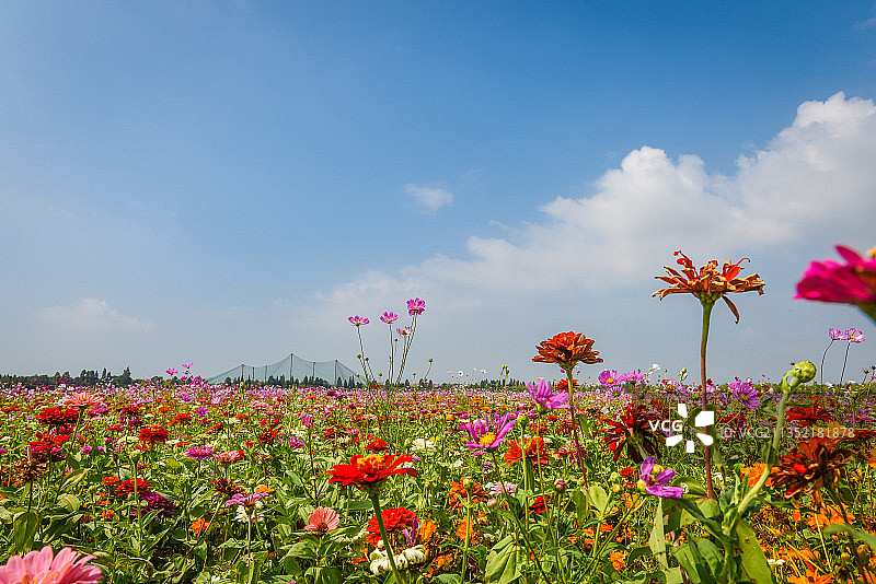 南京高淳国际慢城图片素材