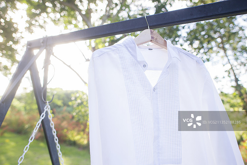 挂在树上的衬衫特写图片素材