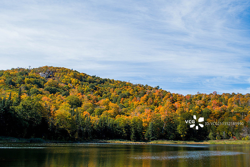 美国佛蒙特州里普顿秋季树木湖泊风光图片素材