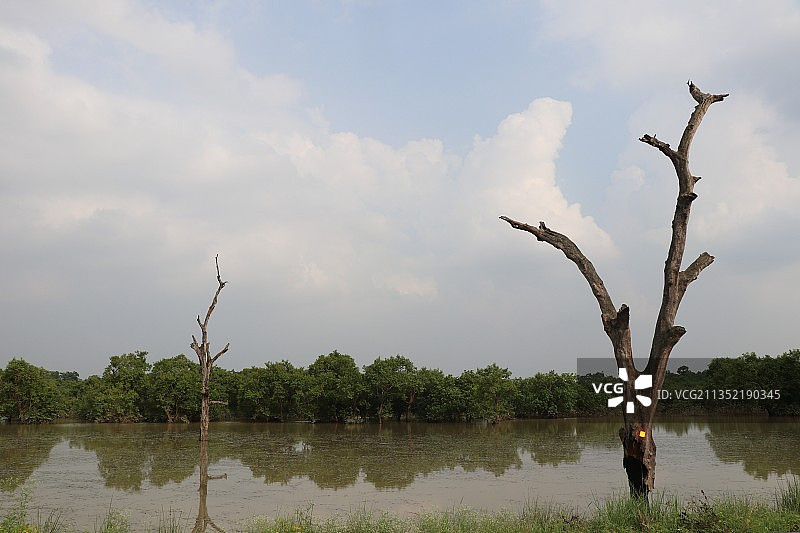 印度湖泊的壮丽景色图片素材