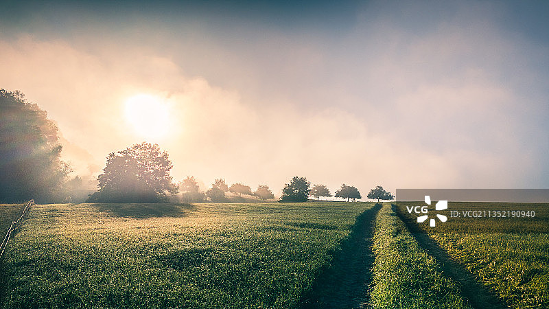 日落时分德国比克瑙的田野风光图片素材